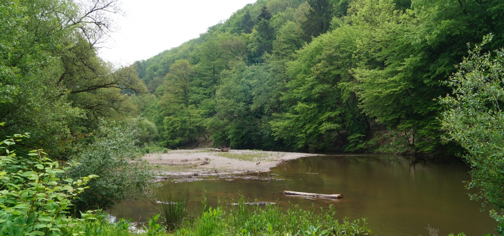 alfbach.jpg